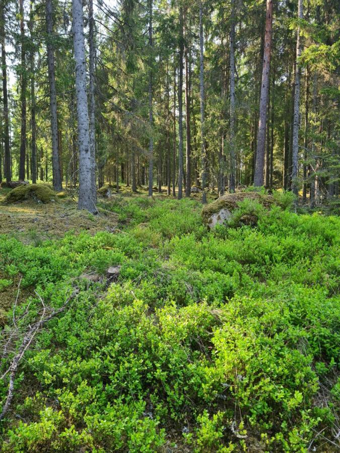 Tosthult Holiday 2 Lonsboda Eksteriør billede